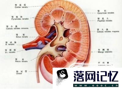 什么是糖尿病酮症酸中毒优质  第6张