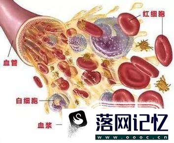 引起血液病的原因优质  第1张