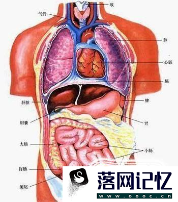 小腹左边疼是怎么回事优质  第1张