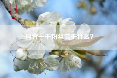 抖音一千粉丝能干什么？  第1张