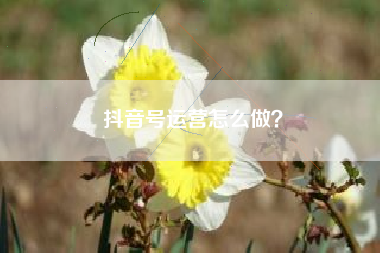 抖音号运营怎么做？  第1张