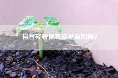 抖音轻奢便宜卖是真的吗？  第1张