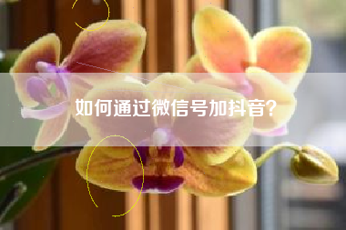 如何通过微信号加抖音？  第1张