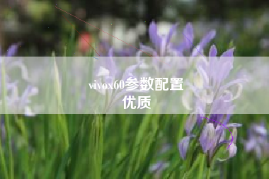 vivox60参数配置
优质  第101张