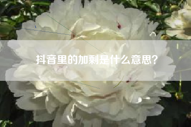 抖音里的加剩是什么意思？  第1张