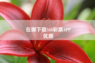 在哪下载168彩票APP
优质  第160张