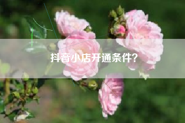 抖音小店开通条件？  第1张