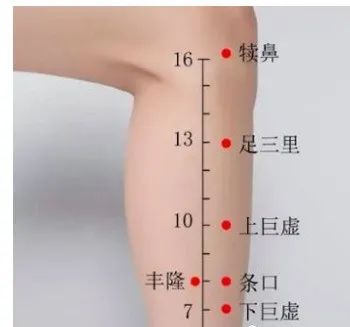 【偏方验方】丰隆穴调理痰多、肥胖结节、血脂太高有奇效  第6张