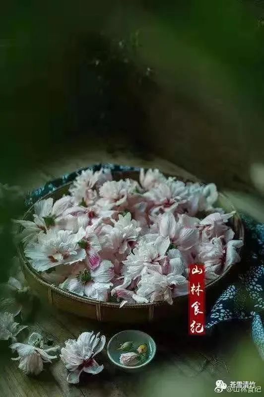 苍雪清竹：词之卷  锦心浥露，素手流霓 第12张