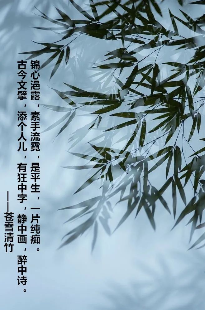 苍雪清竹：词之卷  锦心浥露，素手流霓 第31张