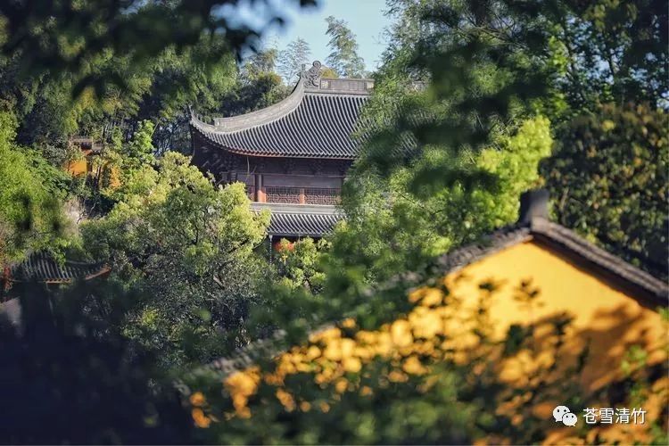 苍雪清竹：文友会  禅门山色两虚空，妙语都随碧落风 第2张