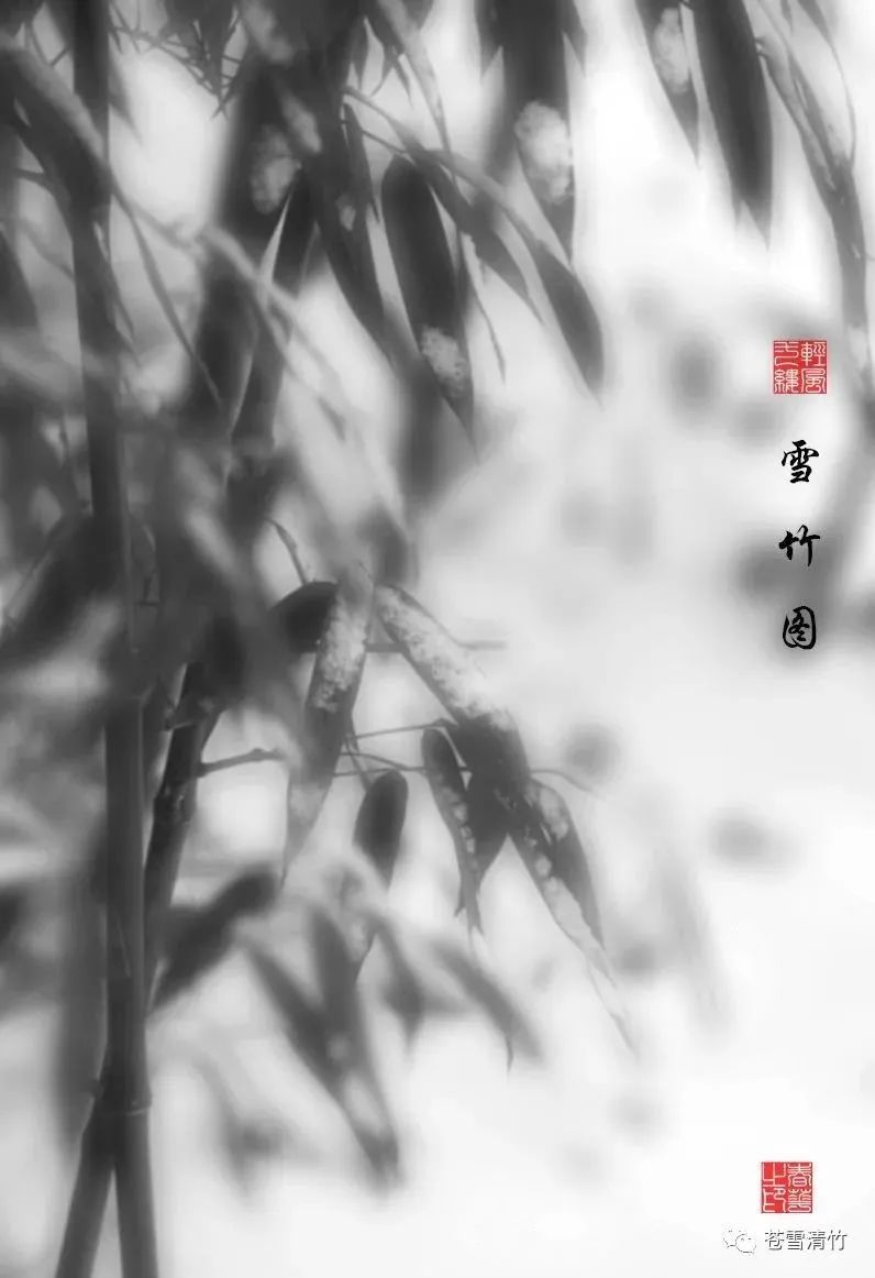 苍雪清竹：词之卷  锦心浥露，素手流霓 第21张