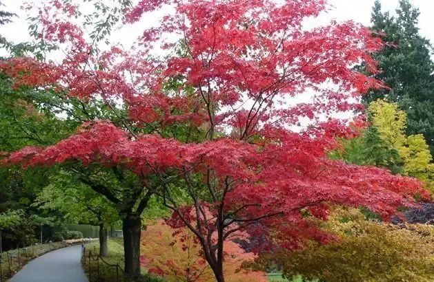 云南宣威／余仕田 【诗歌】／乡村之魂……（外一首）  第2张