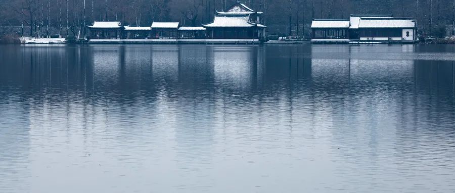 苍雪清竹：君看寒岩鱼骨影，如闻沧海说前生  第5张