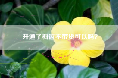 开通了橱窗不带货可以吗？  第1张