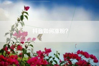 抖音如何涨粉？  第1张