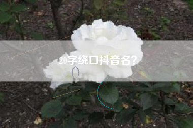 20字绕口抖音名？  第1张