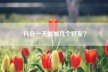 抖音一天能加几个好友？  第1张