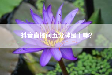 抖音直播间五分牌是干嘛？  第1张