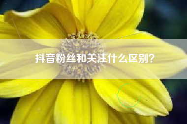 抖音粉丝和关注什么区别？  第1张