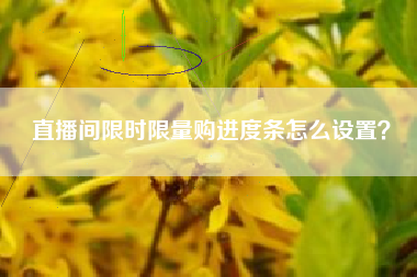 直播间限时限量购进度条怎么设置？  第1张