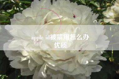 apple id被禁用怎么办
优质  第85张