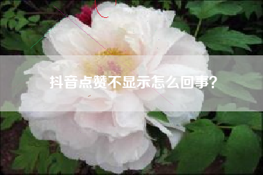 抖音点赞不显示怎么回事？  第1张