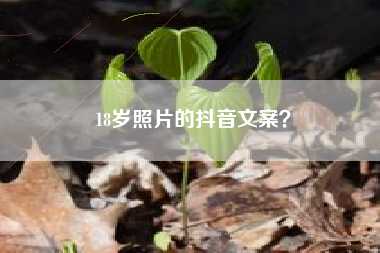 18岁照片的抖音文案？  第1张