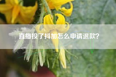 直播投了抖加怎么申请退款？  第1张