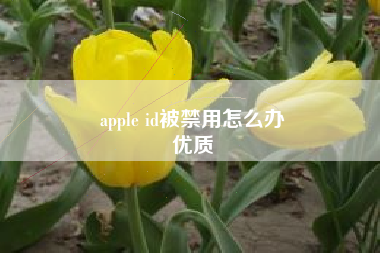 apple id被禁用怎么办
优质  第83张