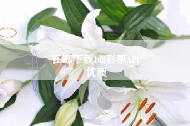 在哪下载168彩票APP
优质  第154张