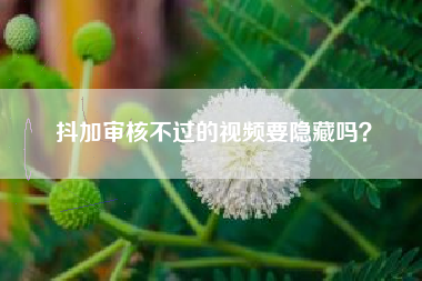 抖加审核不过的视频要隐藏吗？  第1张