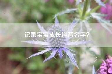 记录宝宝成长抖音名字？  第1张