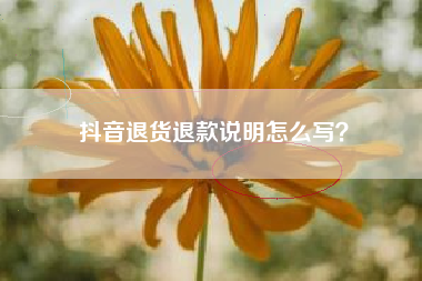 抖音退货退款说明怎么写？  第1张