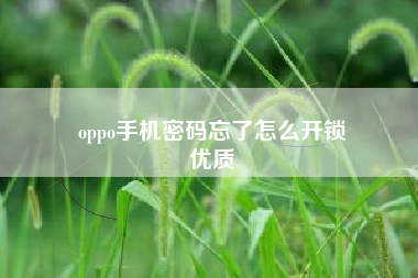 oppo手机密码忘了怎么开锁
优质  第132张