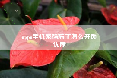 oppo手机密码忘了怎么开锁
优质  第131张