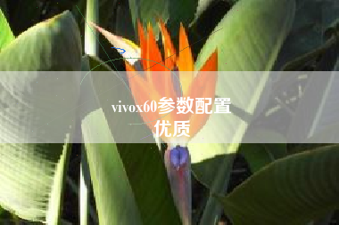 vivox60参数配置
优质  第100张