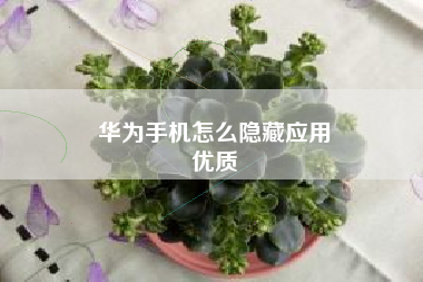 华为手机怎么隐藏应用
优质  第105张