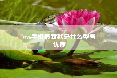 vivo手机最新款是什么型号
优质  第72张