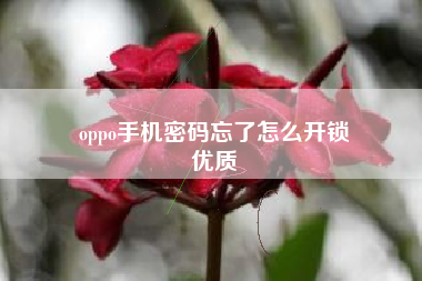 oppo手机密码忘了怎么开锁
优质  第129张