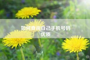 如何查询自己手机号码
优质  第106张