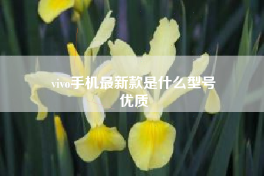 vivo手机最新款是什么型号
优质  第70张