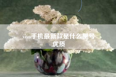 vivo手机最新款是什么型号
优质  第69张