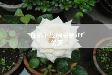 在哪下载168彩票APP
优质  第150张