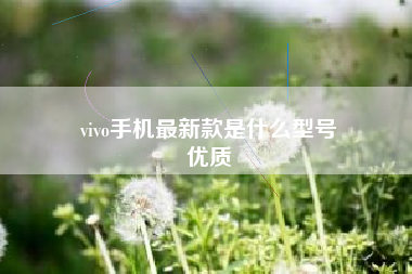 vivo手机最新款是什么型号
优质  第68张