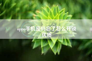 oppo手机密码忘了怎么开锁
优质  第126张