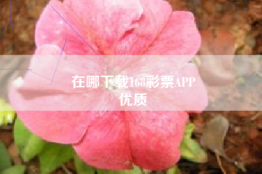 在哪下载168彩票APP
优质  第149张