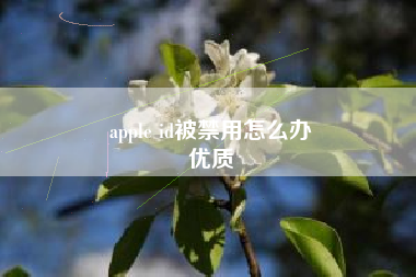 apple id被禁用怎么办
优质  第80张