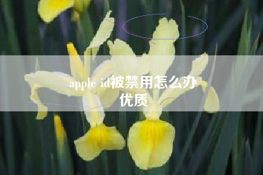 apple id被禁用怎么办
优质  第79张