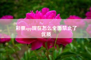 彩票app现在怎么全面禁止了
优质  第96张